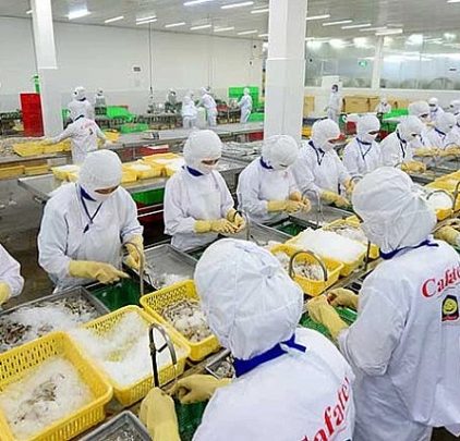 Tháng 10/2023, Việt Nam là thị trường duy nhất có lượng và trị giá xuất khẩu thủy sản sang Hàn Quốc tăng