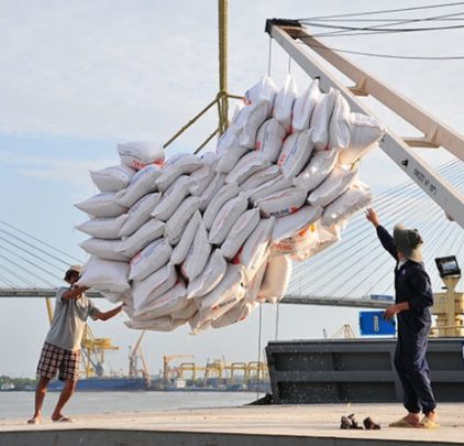 Việt Nam là đối tác cung ứng gạo lớn thứ 2 cho Đài Loan trong năm 2023