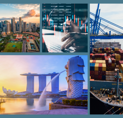Tình hình xuất nhập khẩu tại thị trường Singapore tháng 1 năm 2024