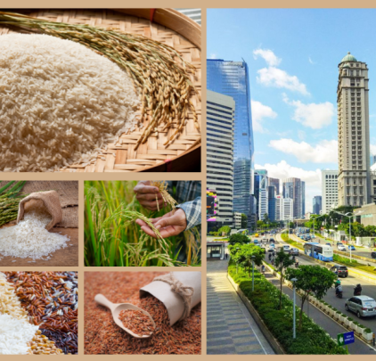 Indonesia tiếp tục phải nhập khẩu bổ sung thêm 1,6 triệu tấn gạo năm 2024