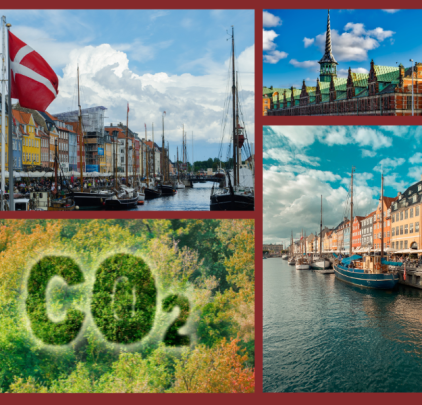 Ủy ban chuyên gia Đan Mạch đề xuất thuế phát thải CO2 cho nông nghiệp