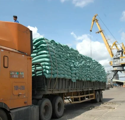 Xuất khẩu nông sản khởi sắc: Đâu là ‘át chủ bài’ của Việt Nam?
