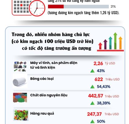 (INFOGRAPHICS): 9 nhóm hàng lớn nhập khẩu từ Mỹ tăng trưởng ấn tượng